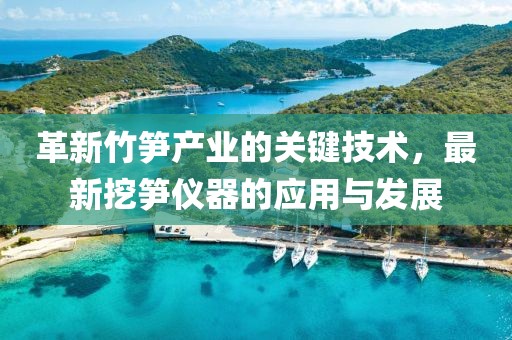 革新竹笋产业的关键技术，最新挖笋仪器的应用与发展