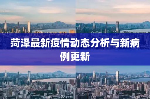菏泽最新疫情动态分析与新病例更新