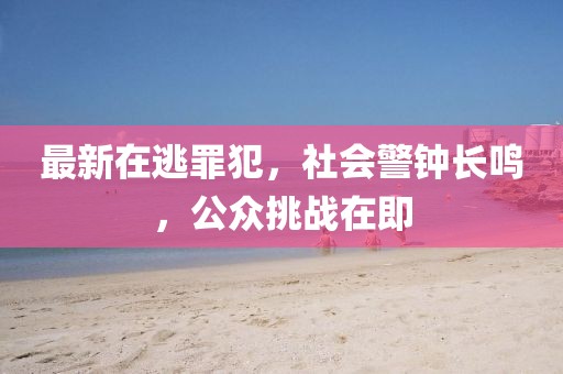 最新在逃罪犯，社会警钟长鸣，公众挑战在即