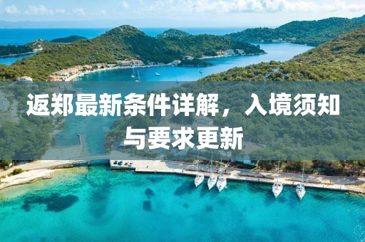 返郑最新条件详解，入境须知与要求更新