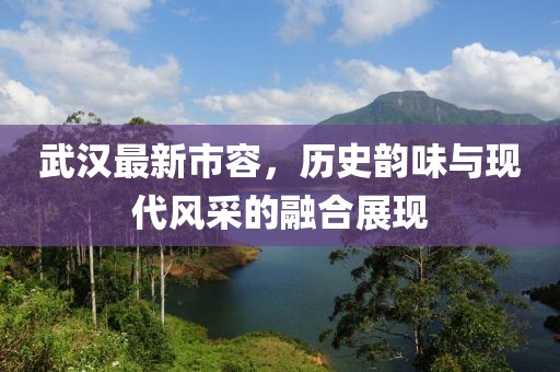 武汉最新市容，历史韵味与现代风采的融合展现
