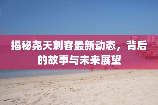 揭秘尧天刺客最新动态，背后的故事与未来展望