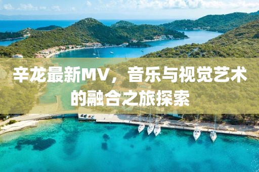 辛龙最新MV，音乐与视觉艺术的融合之旅探索