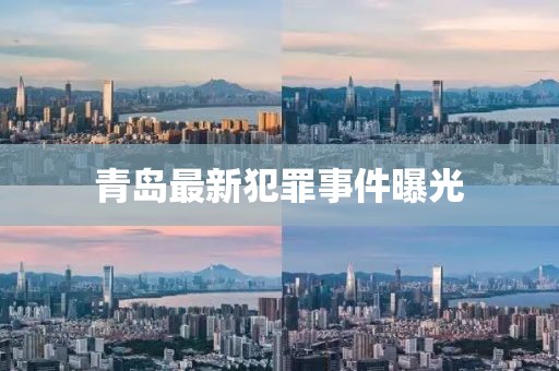 青岛最新犯罪事件曝光