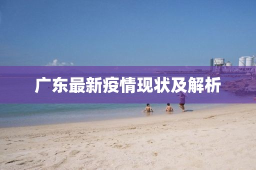 广东最新疫情现状及解析