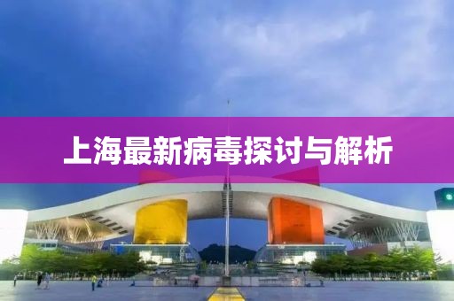 上海最新病毒探讨与解析