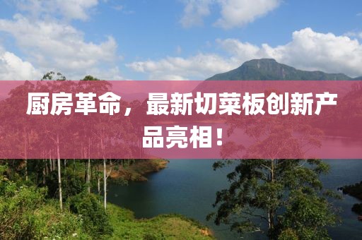 厨房革命，最新切菜板创新产品亮相！