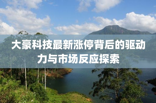 大豪科技最新涨停背后的驱动力与市场反应探索