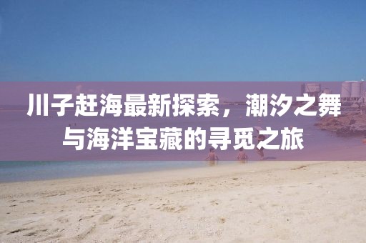 川子赶海最新探索，潮汐之舞与海洋宝藏的寻觅之旅