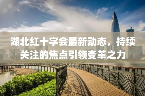 湖北红十字会最新动态，持续关注的焦点引领变革之力