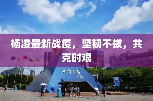 杨凌最新战疫，坚韧不拔，共克时艰