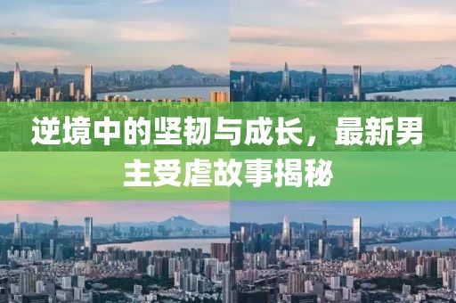 逆境中的坚韧与成长，最新男主受虐故事揭秘