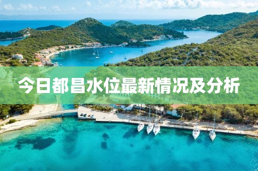 今日都昌水位最新情况及分析