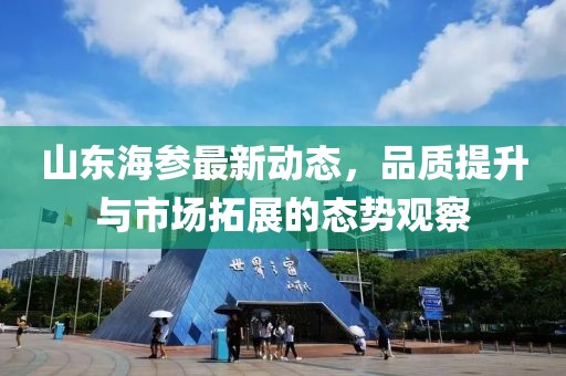 山东海参最新动态，品质提升与市场拓展的态势观察