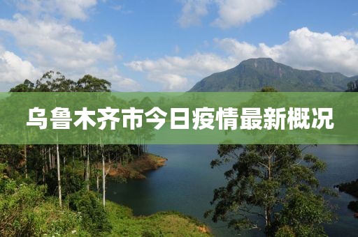 乌鲁木齐市今日疫情最新概况