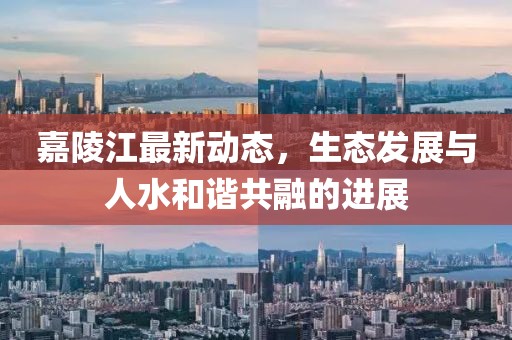 嘉陵江最新动态，生态发展与人水和谐共融的进展