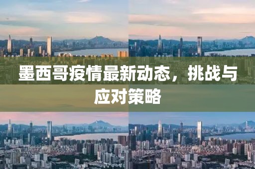 墨西哥疫情最新动态，挑战与应对策略