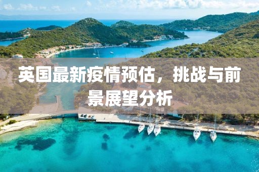 英国最新疫情预估，挑战与前景展望分析