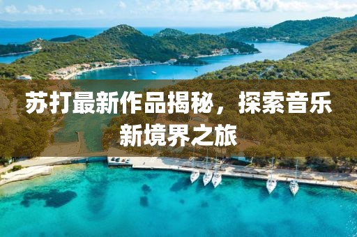 苏打最新作品揭秘，探索音乐新境界之旅