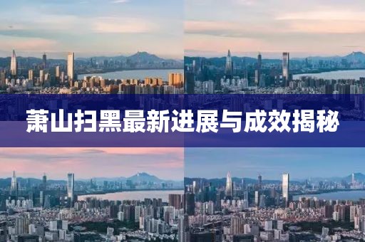 萧山扫黑最新进展与成效揭秘