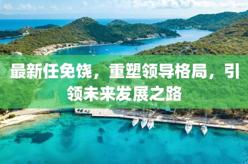 最新任免饶，重塑领导格局，引领未来发展之路