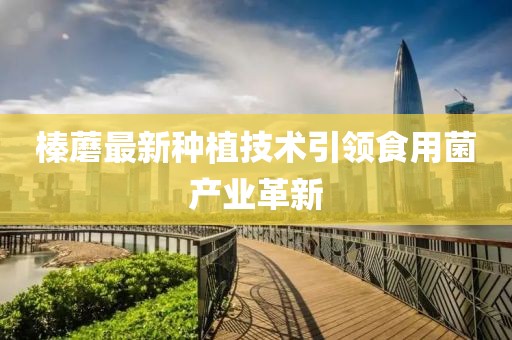 榛蘑最新种植技术引领食用菌产业革新