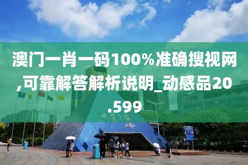 澳门一肖一码100%准确搜视网,可靠解答解析说明_动感品20.599