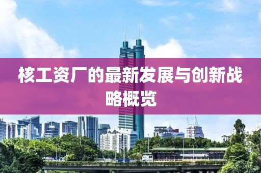 核工资厂的最新发展与创新战略概览