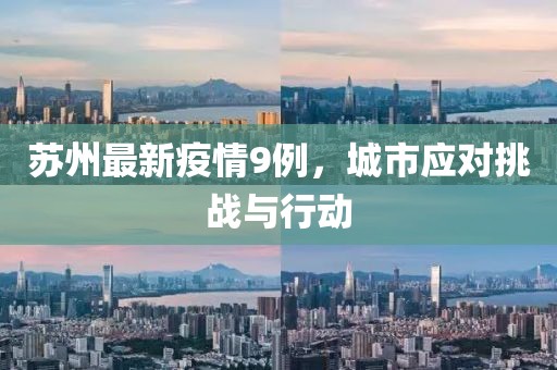 苏州最新疫情9例，城市应对挑战与行动