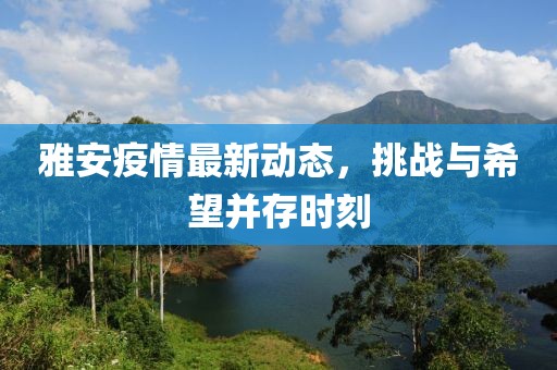 雅安疫情最新动态，挑战与希望并存时刻