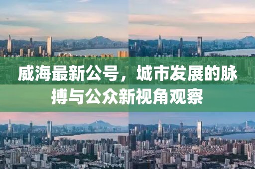 威海最新公号，城市发展的脉搏与公众新视角观察
