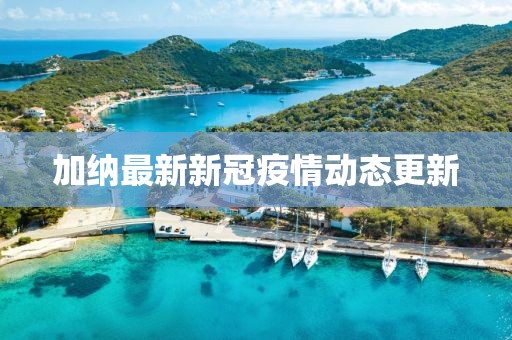 加纳最新新冠疫情动态更新