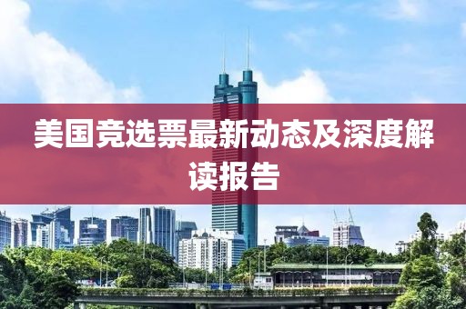 美国竞选票最新动态及深度解读报告
