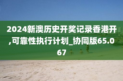 2024新澳历史开奖记录香港开,可靠性执行计划_协同版65.067
