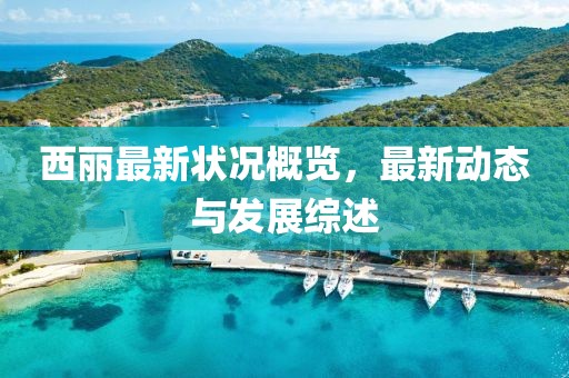 西丽最新状况概览，最新动态与发展综述