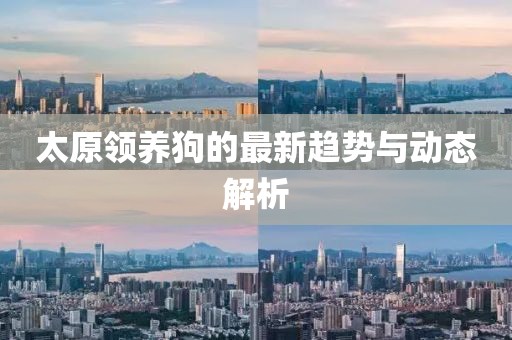 太原领养狗的最新趋势与动态解析