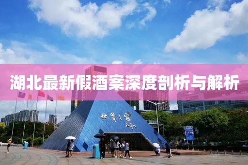 湖北最新假酒案深度剖析与解析