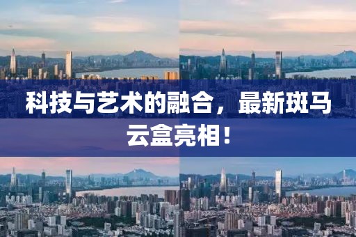 科技与艺术的融合，最新斑马云盒亮相！