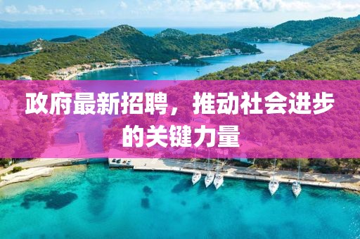 政府最新招聘，推动社会进步的关键力量