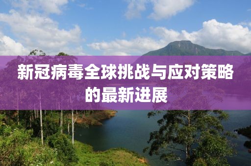 新冠病毒全球挑战与应对策略的最新进展
