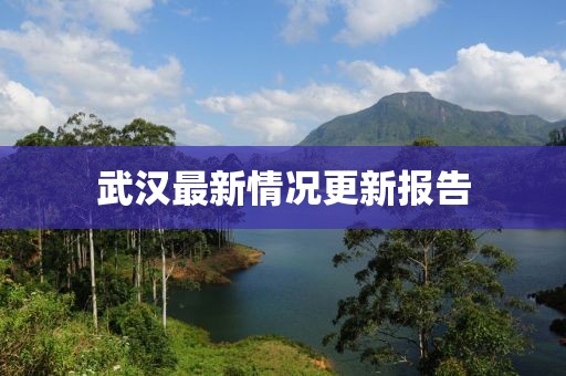 武汉最新情况更新报告