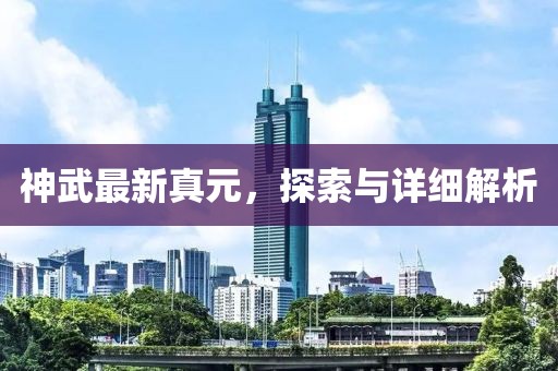 神武最新真元，探索与详细解析