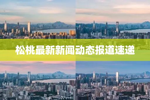 松桃最新新闻动态报道速递