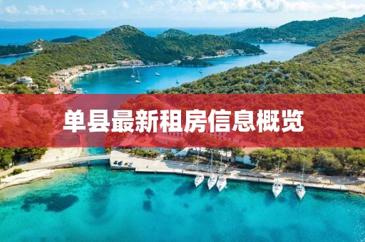 单县最新租房信息概览