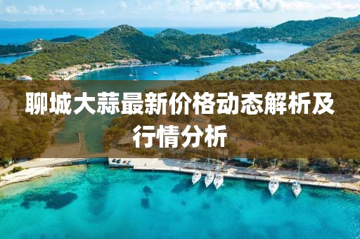 聊城大蒜最新价格动态解析及行情分析