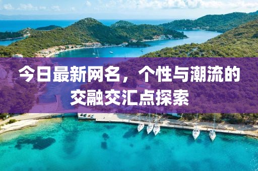 今日最新网名，个性与潮流的交融交汇点探索