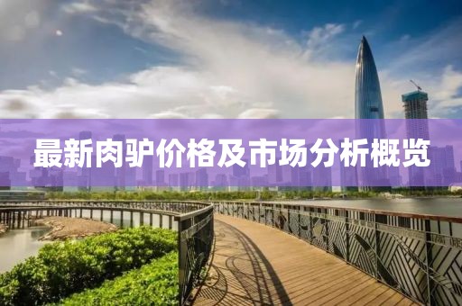 最新肉驴价格及市场分析概览
