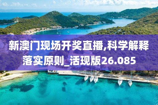 新澳门现场开奖直播,科学解释落实原则_活现版26.085