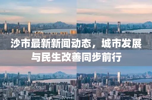沙市最新新闻动态，城市发展与民生改善同步前行