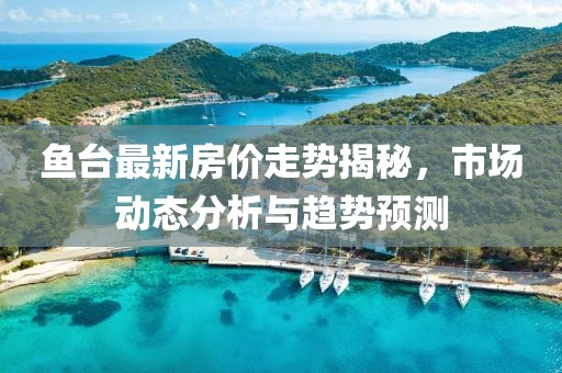 鱼台最新房价走势揭秘，市场动态分析与趋势预测